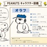 スヌーピー弟オラフふっくらビーグル犬青い帽子ピーナッツキャラクター図鑑