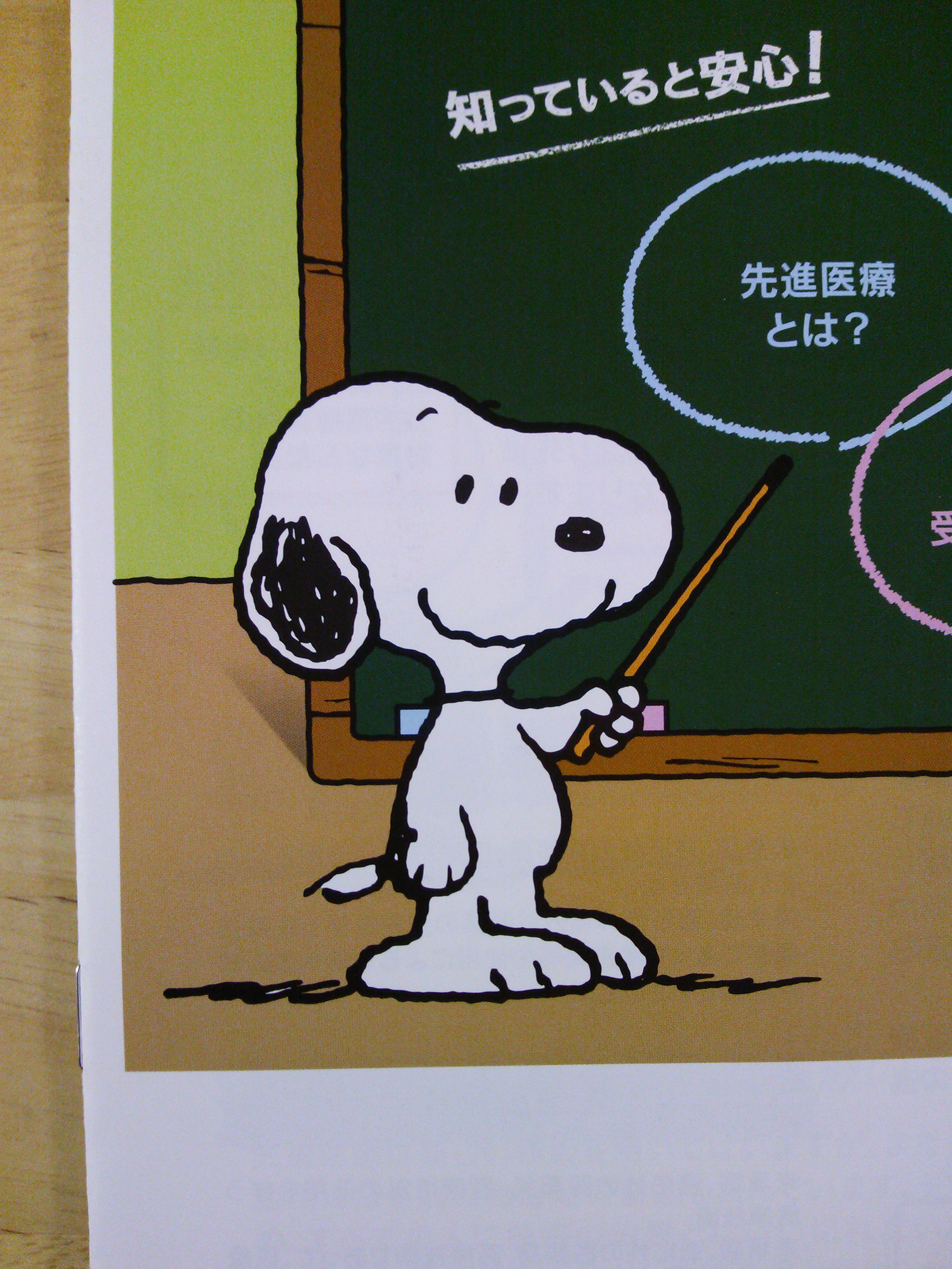 資料請求したメットライフ生命の資料が届いた パンフレットにもスヌーピーがいっぱいいるよー スヌーピー大好き女子が集めたスヌーピー 最新情報お届けするよ