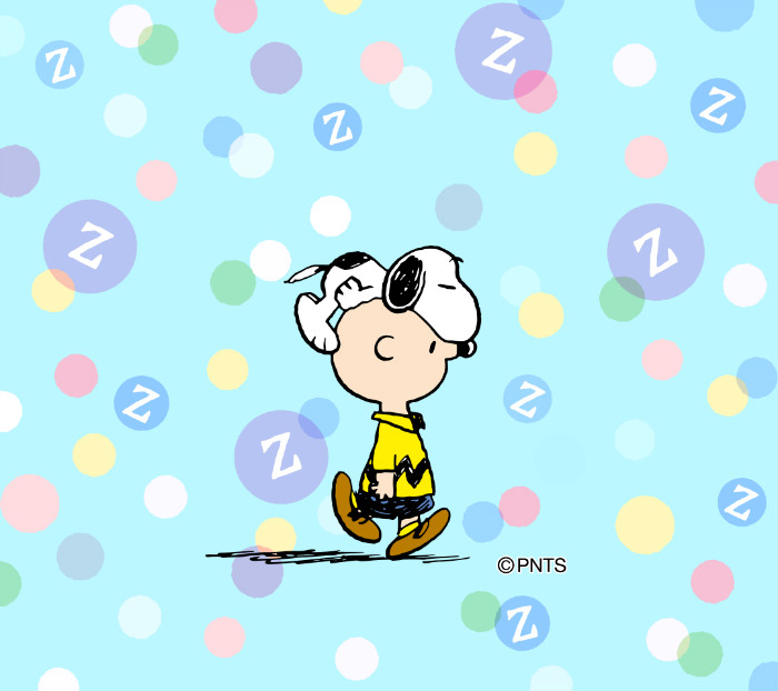 100 Wallpaper Iphone 5 Snoopy Hinhanhsieudep Net