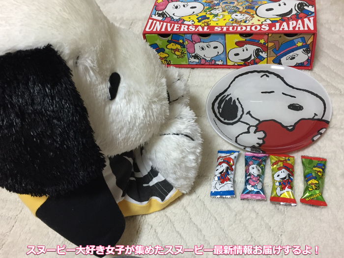 Usj限定スヌーピーのチョコをもらったよ 食いしん坊ビーグルのレポ スヌーピー大好き女子が集めたスヌーピー最新情報お届けするよ