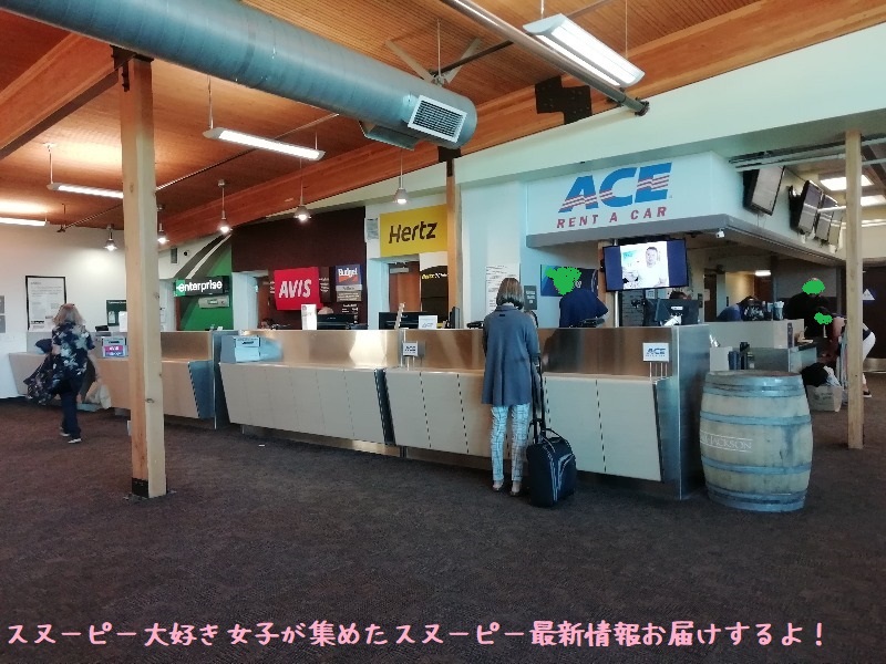 スヌーピーソノマ空港アメリカサンタローザ2019年10月フライングエース46