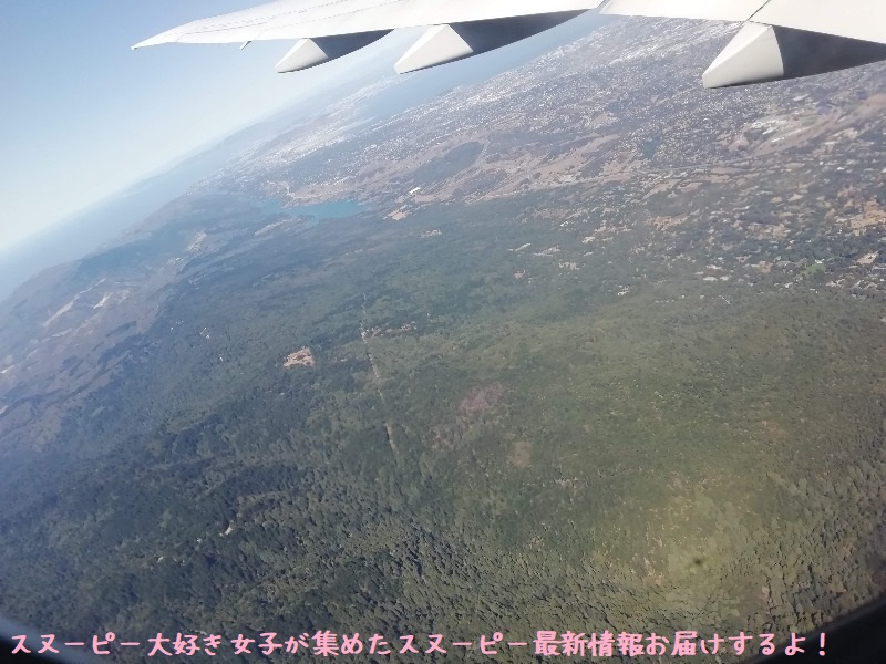 サンタローザ旅行 東京羽田 サンフランシスコ行きjal便の飛行機レポ スヌーピー大好き女子が集めたスヌーピー最新情報お届けするよ