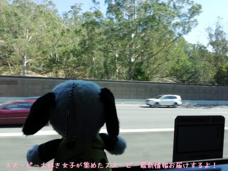 ダウンロード スヌーピー ミュージアム サンフランシスコ 検索画像の壁紙