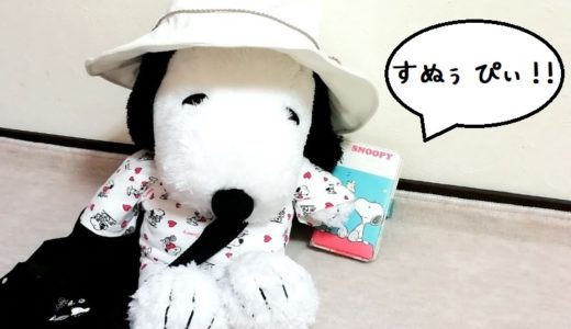 サンタローザ旅行に行くスヌーピーファンのための英語対策 フレーズ付き