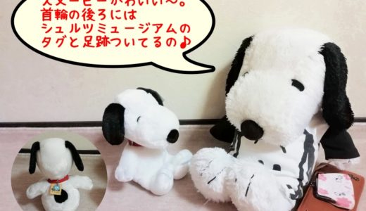 サンタローザ旅行にかかる費用は合計327 335円 予算は40万円ほしい