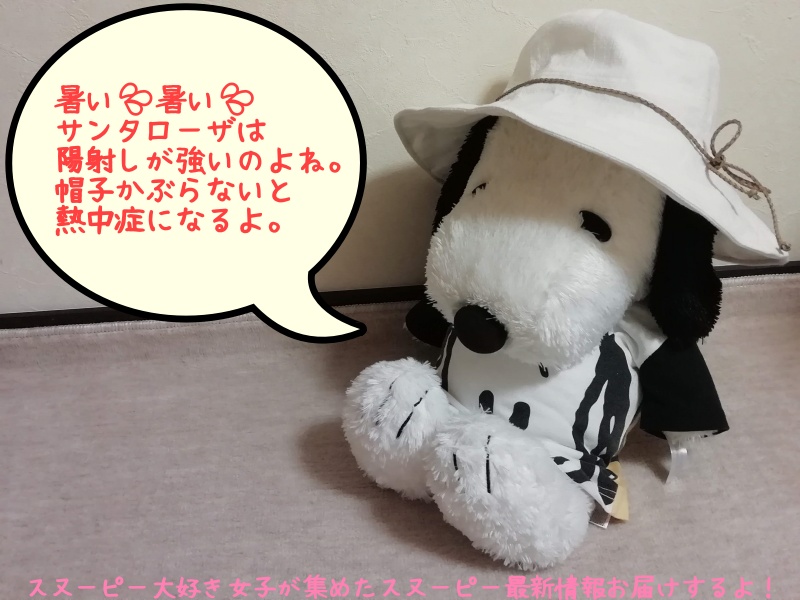 スヌーピーファンが行く サンタローザ旅行の持ち物リスト