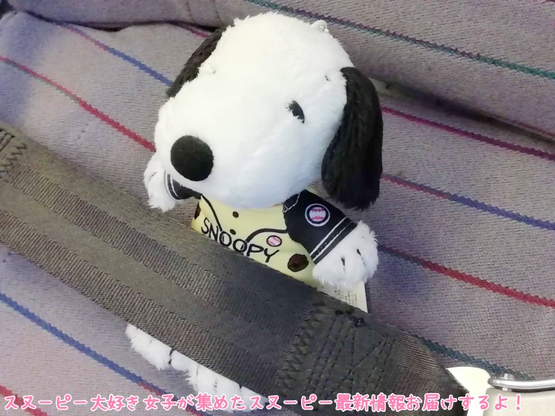 スヌーピーに会いに行く初アメリカ ららのサンタローザ旅行記19 10 まとめ スヌーピーに会いに行く初アメリカ ららのサンタローザ旅行記19 10 まとめ