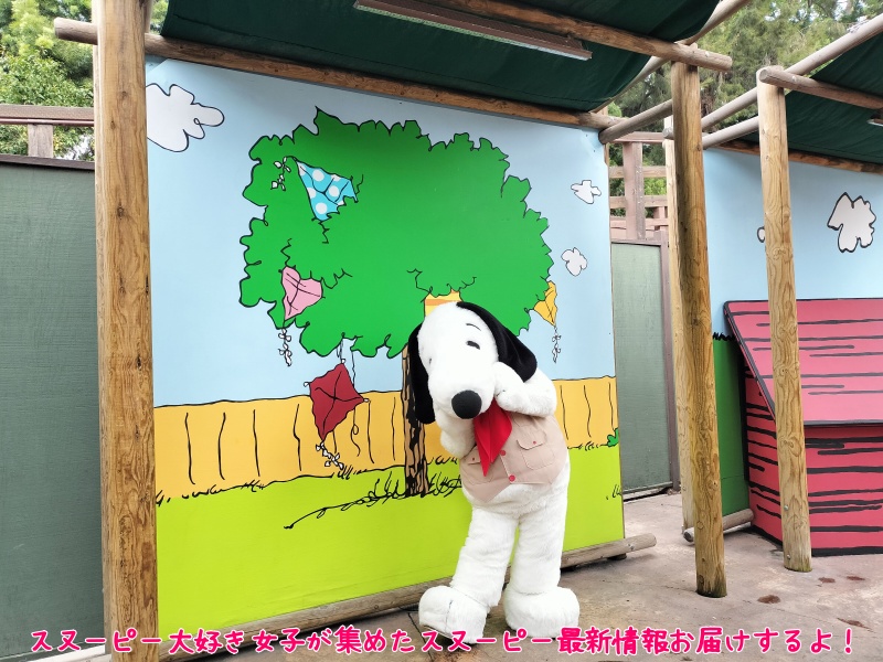 ナッツベリーファームのスヌーピーと写真撮影できる「ミート&グリート 