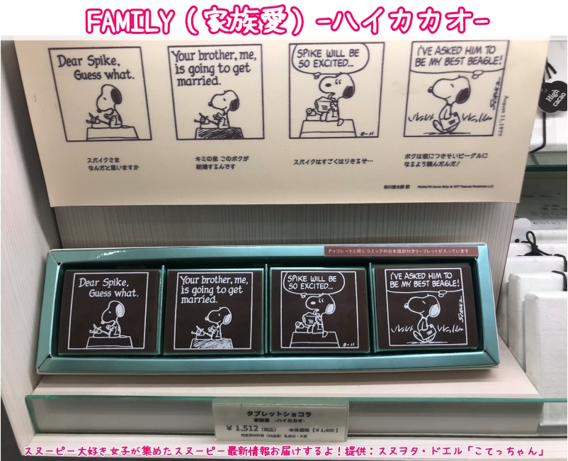 スヌーピーショコラ京都清水坂店チョコレート4テーマ6種類コミック柄41
