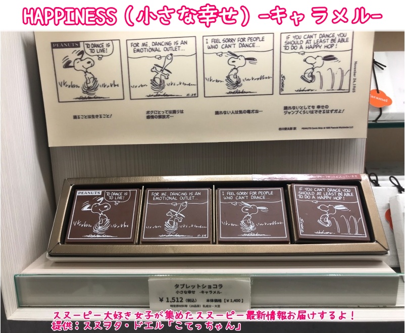スヌーピーショコラ京都清水坂店チョコレート4テーマ6種類コミック柄49