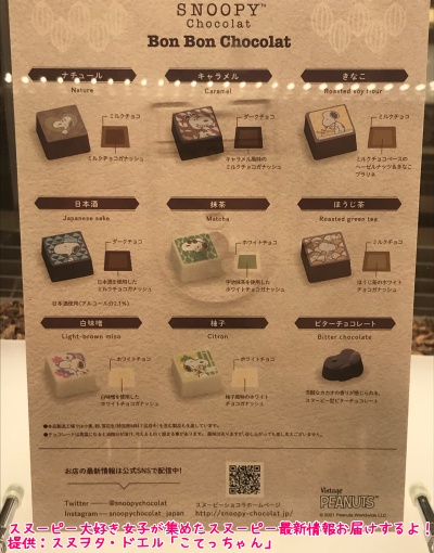スヌーピーショコラ京都清水坂店チョコレート4テーマ6種類コミック柄56
