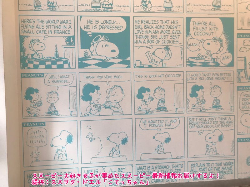 スヌーピーショコラ京都清水坂店チョコレート4テーマ6種類コミック柄88
