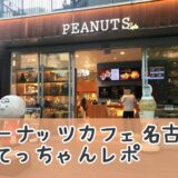 ピーナッツカフェ名古屋スヌーピースタチュー絵画アストロノーツペリカンズ83