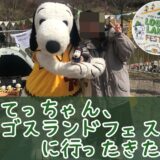 スヌーピーロゴスランド京都ビーグルスカウトピーナッツ75周年写真73