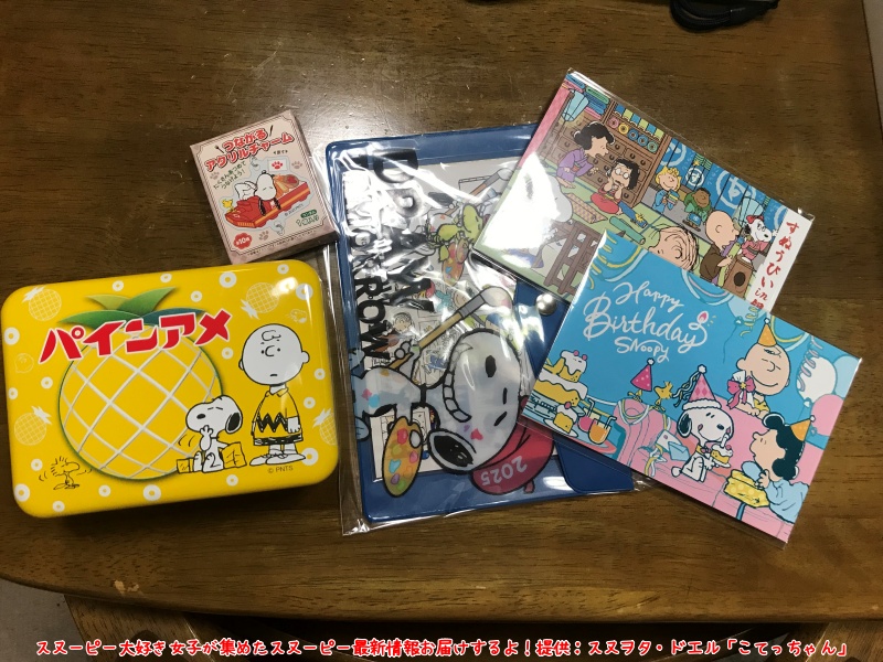 スヌーピーin銀座2025こてっちゃん初日レポ夢を描いてきたグッズ159