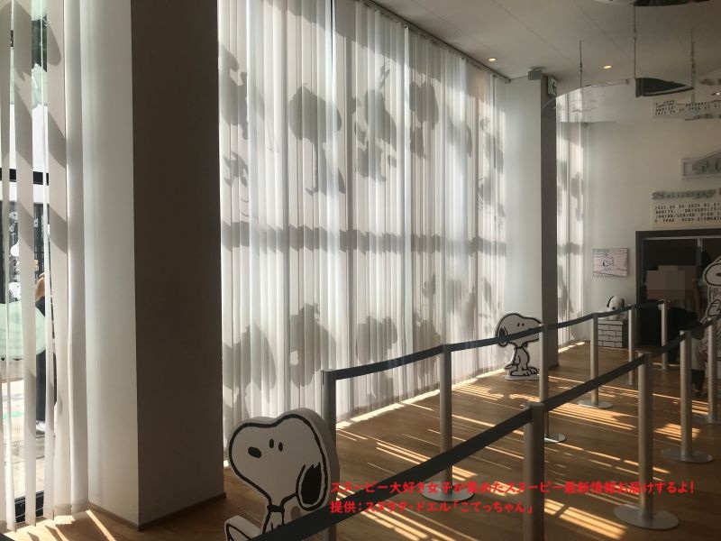 スヌーピーミュージアムエントランスのカーテン