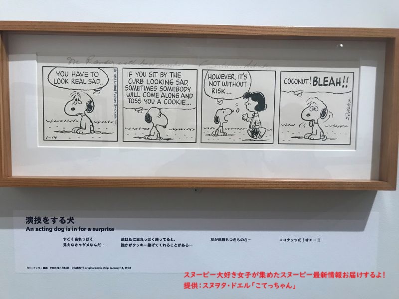 スヌーピー企画展コミック2