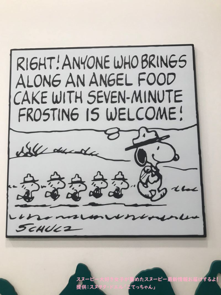 スヌーピーガーデン・テーマ５・ビーグルスカウトのアート