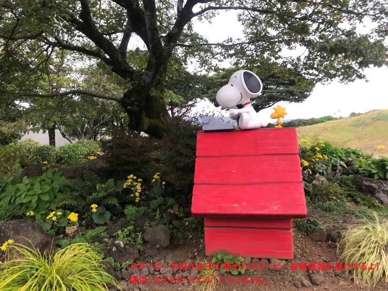 スヌーピーガーデン小説王