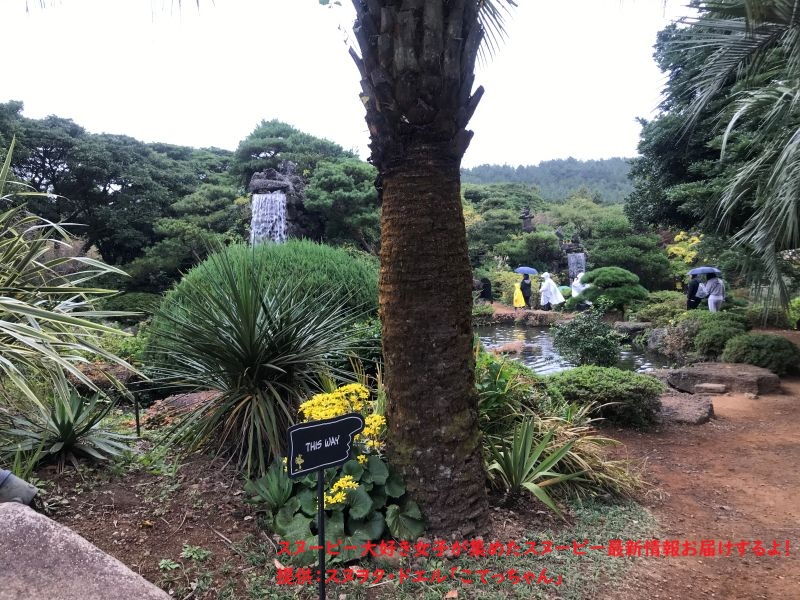 スヌーピーガーデン・ビーグルスカウトキャンプ2