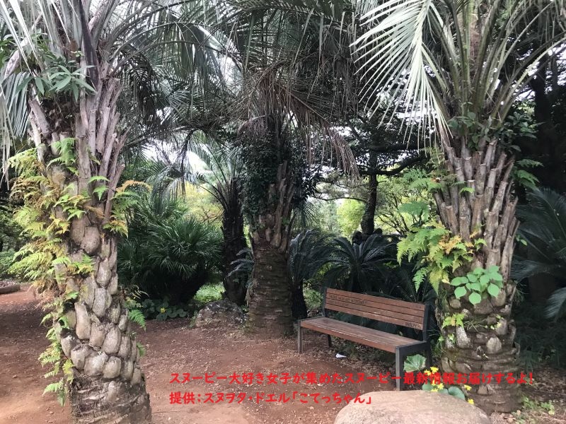 スヌーピーガーデン・植物