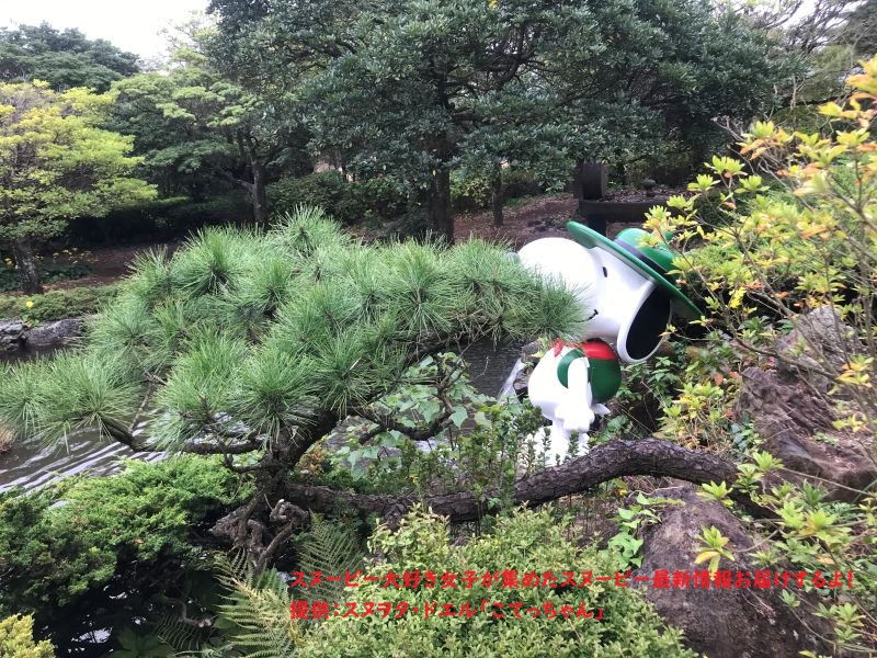 スヌーピーガーデン・ビーグルスカウトキャンプ4