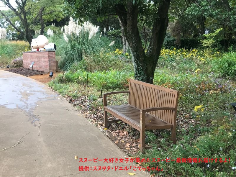 スヌーピーガーデンの道のり3