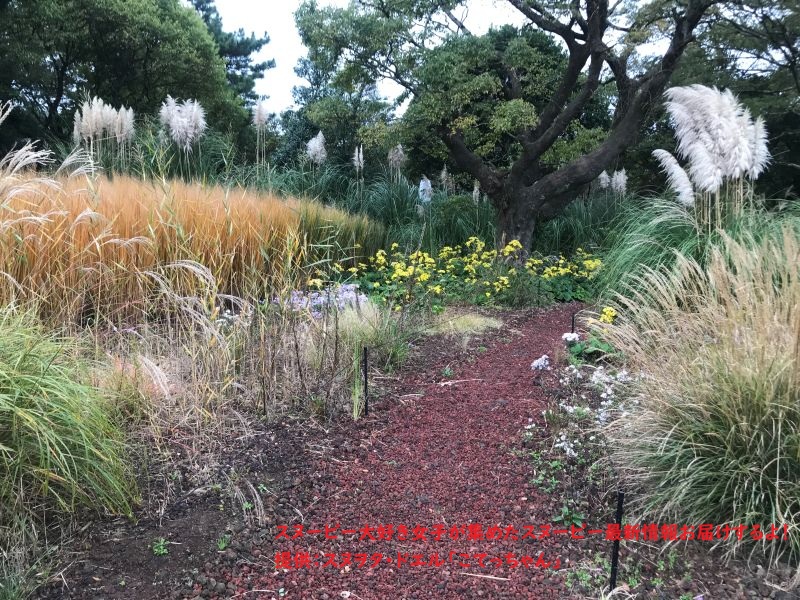 スヌーピーガーデンの道のり4