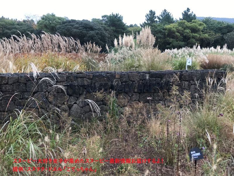 スヌーピーガーデン・グラスガーデン