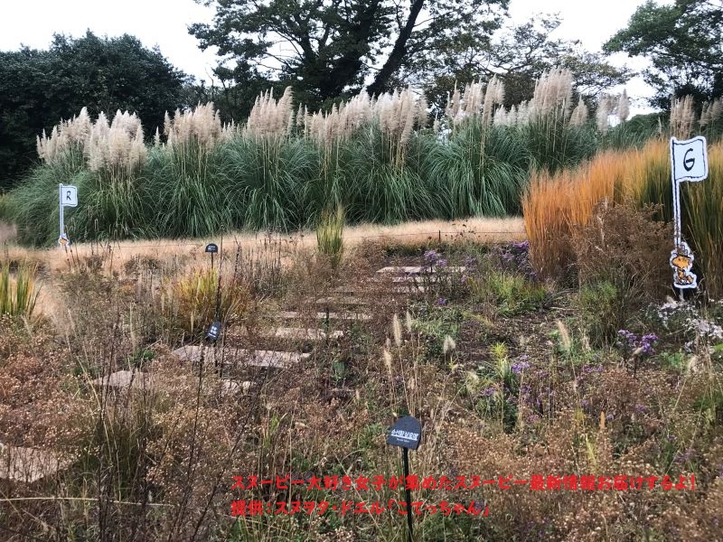 スヌーピーガーデン・ウッドストックと旗