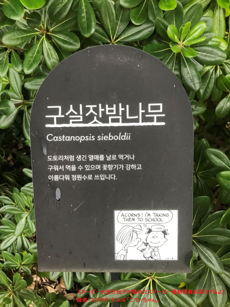 スヌーピーガーデン・植物の説明