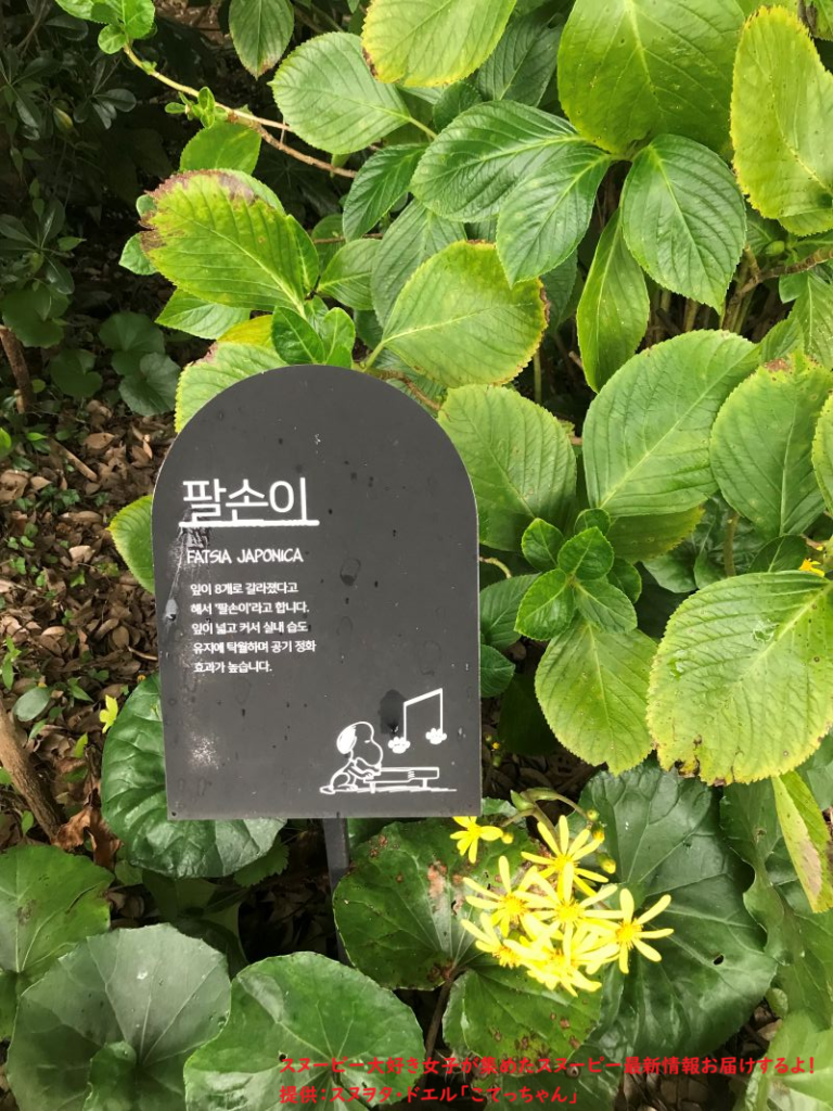 スヌーピーガーデン・植物の説明2