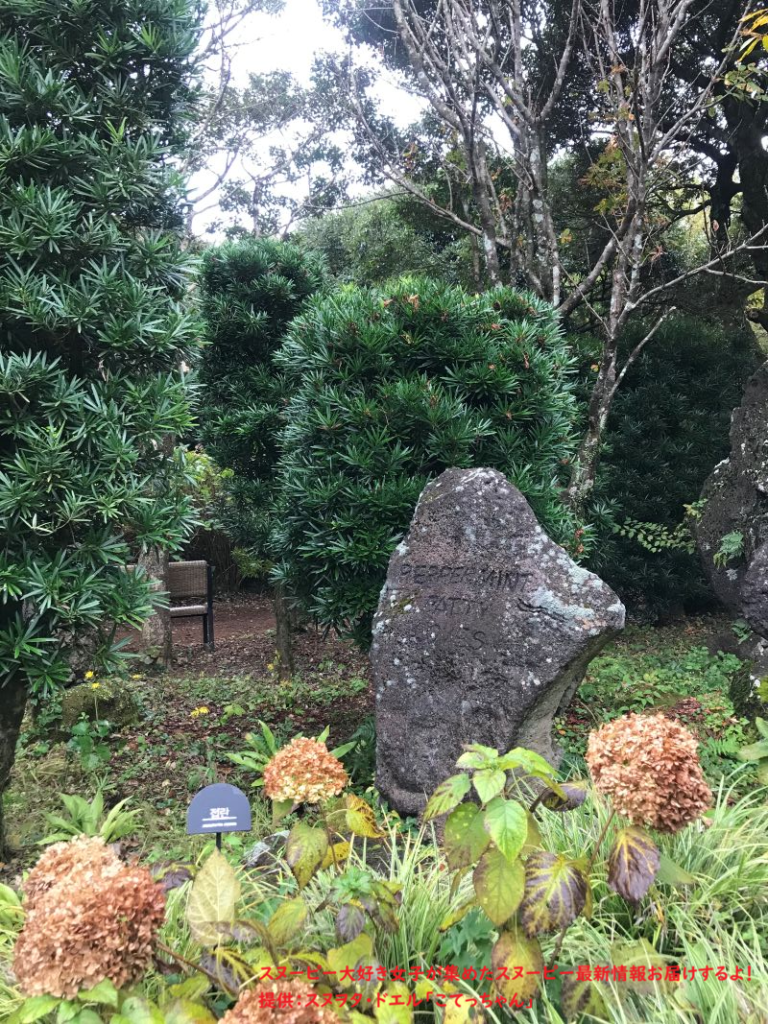 スヌーピーガーデン・ペパーミントパティの岩