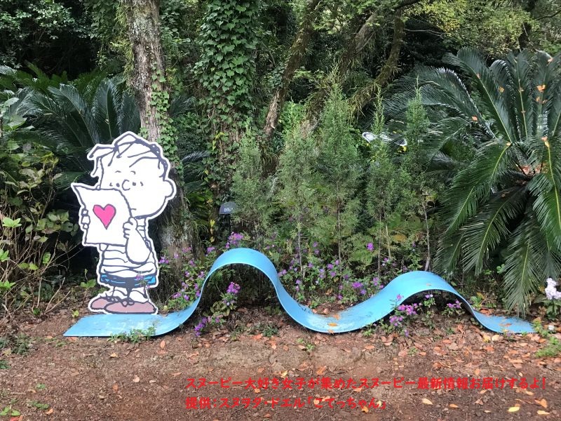 スヌーピーガーデン・ライナスのブランケットと手紙