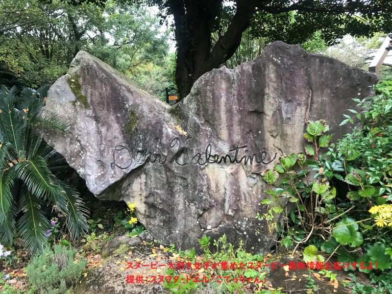 スヌーピーガーデン・ROCK