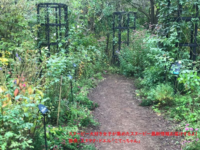 スヌーピーガーデン・植物たち3