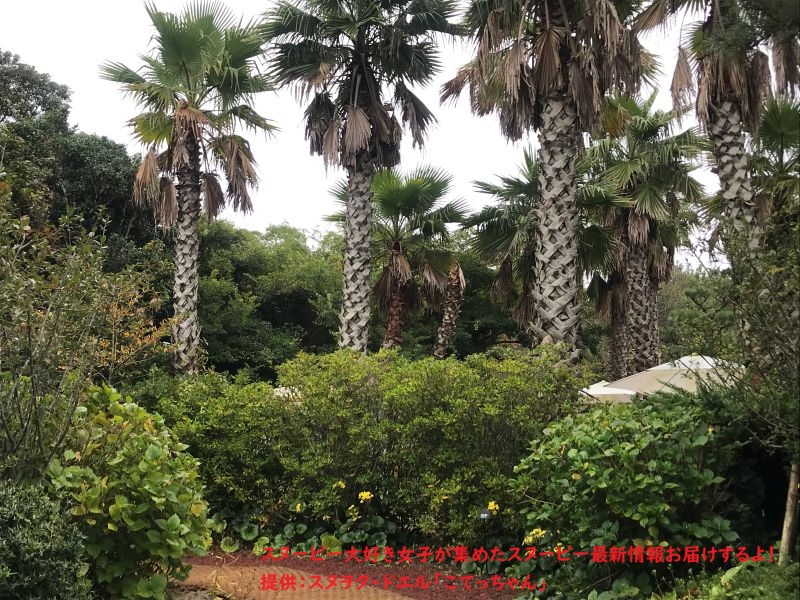 スヌーピーガーデン・植物たち2