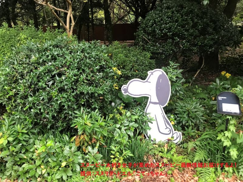スヌーピーガーデン・SNOOPY ZOO2