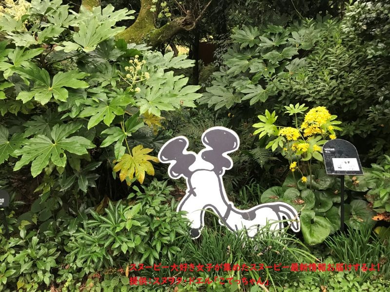 スヌーピーガーデン・SNOOPY ZOO3