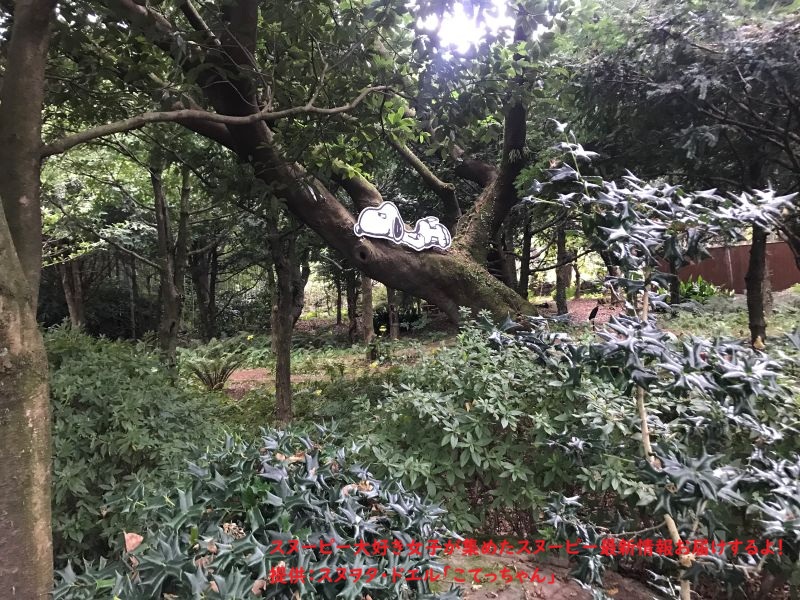 スヌーピーガーデン・SNOOPY ZOO7