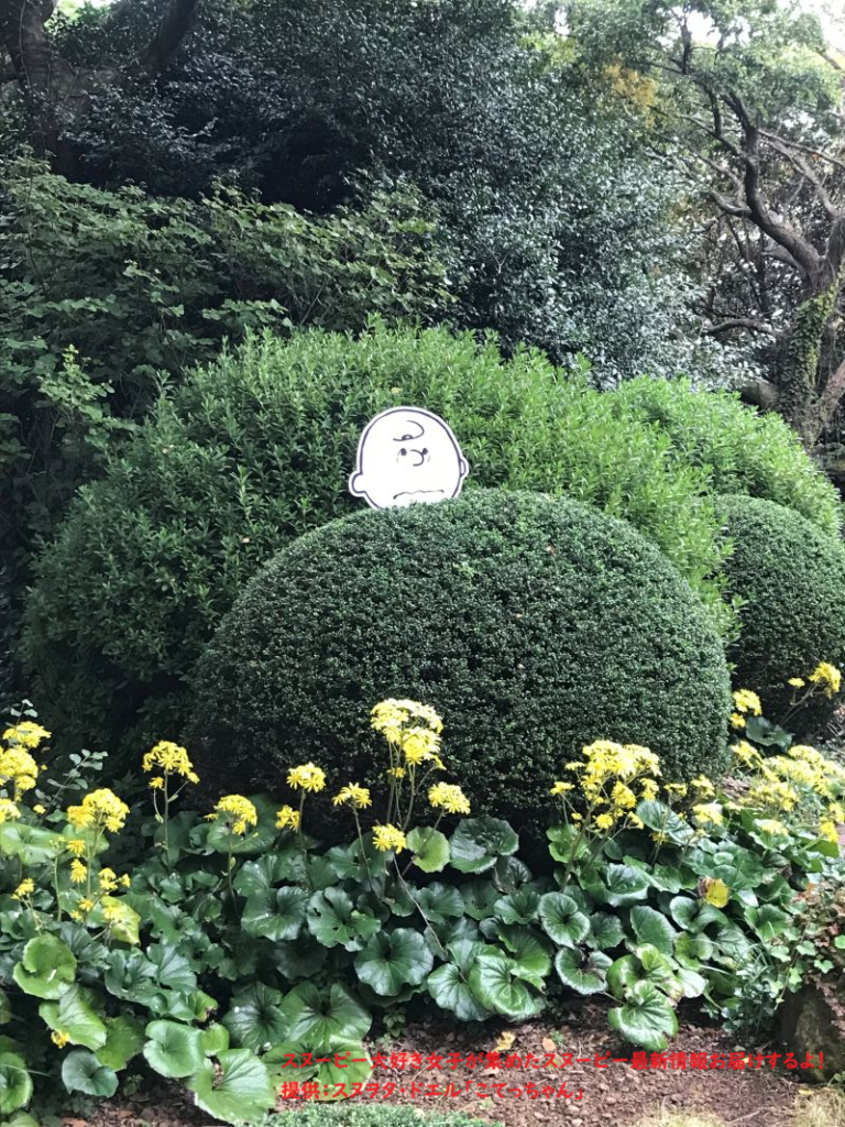 スヌーピーガーデン・チャーリーブラウンと草