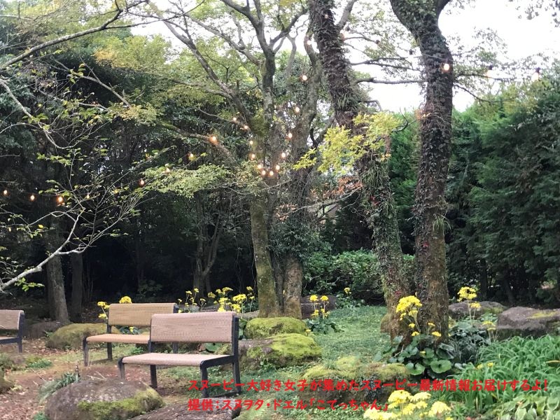 スヌーピーガーデン・ナツメグの木