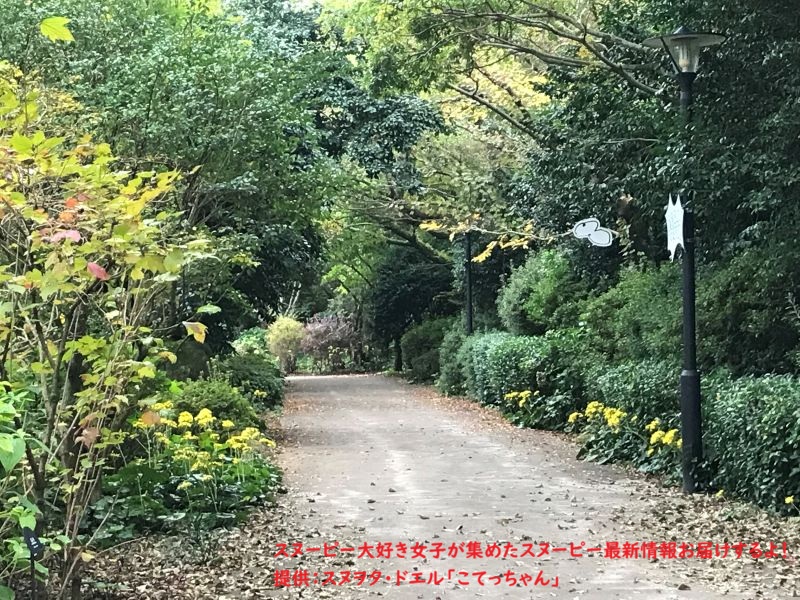 スヌーピーガーデン・植物たち7