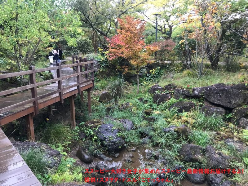 スヌーピーガーデン・歴代スヌーピーの道のり