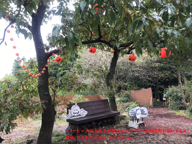 スヌーピーガーデン・かぼちゃの飾りつけ