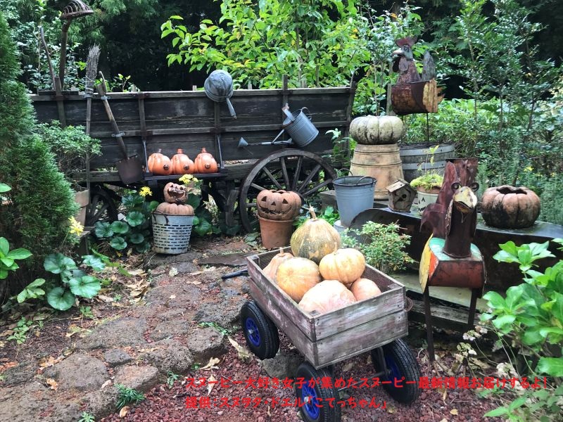 スヌーピーガーデン・かぼちゃ農園