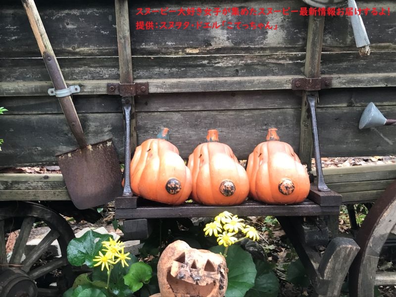 スヌーピーガーデン・スヌーピーのパンプキン