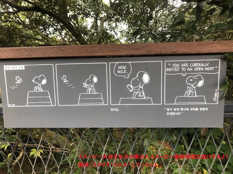 スヌーピーガーデン・ウッドストックのコミック1