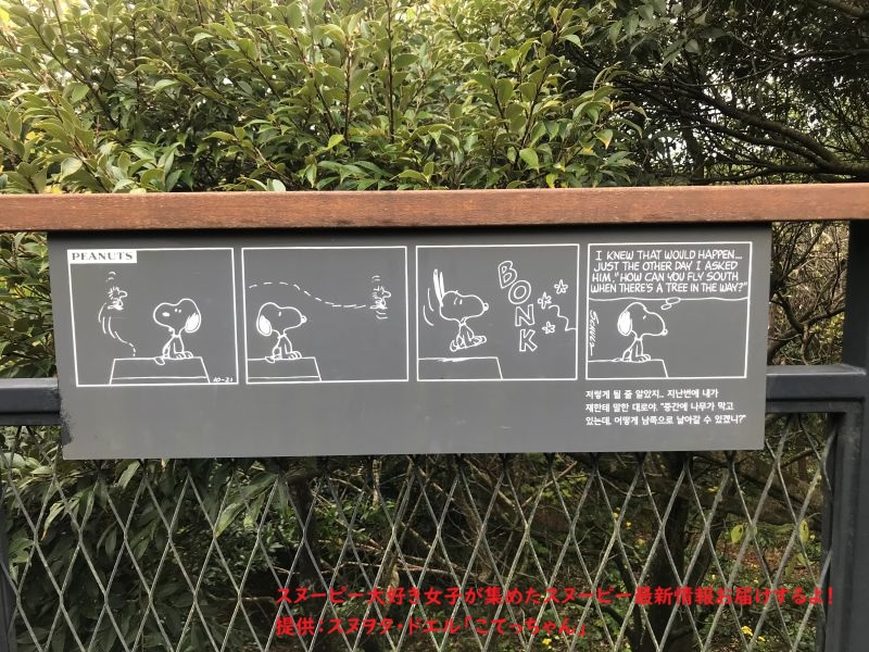 スヌーピーガーデン・ウッドストックのコミック3