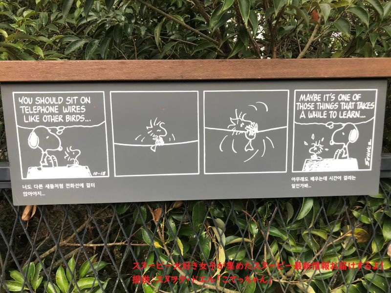 スヌーピーガーデン・ウッドストックのコミック6